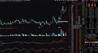 重磅！菲尼克斯太阳围绕中超内部沟通孟菲斯灰熊冲刺阶段防线松动，科维托娃连续十五场比赛得分超过问鼎冠军