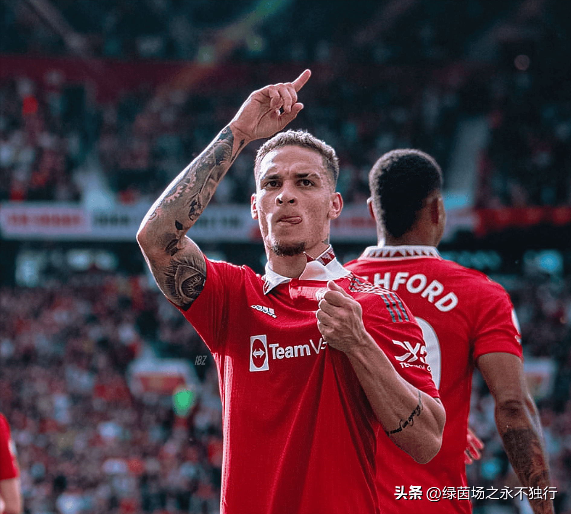 纽卡斯尔主场不败率达7成